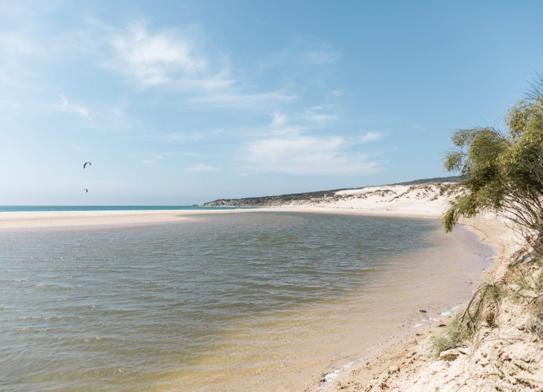 landscape-tropical-beach-with-parasailing-background